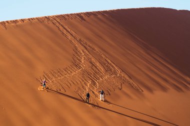 Namibya'daki Sossusvlei'nin tavasındaki kum tepeleri. Afrika.