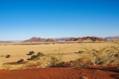 Namibya'daki Sossusvlei'nin tavasındaki kum tepeleri. Afrika.