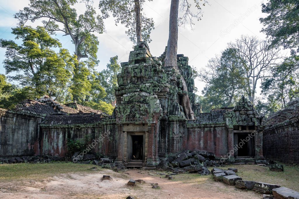 The ancient temple of Ta Prohm , Angkor , Cambodia