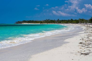 The beautiful white sand beach of Cayo Levisa, Cuba clipart