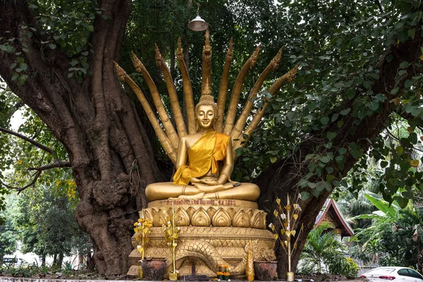 Wat Aham tapınağı - Açık Kalp Manastırı - Luang Prabang, Laos