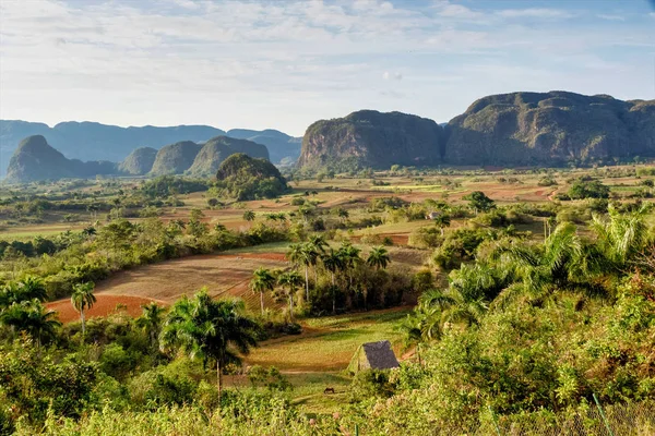 The Vinales valley in Cuba is a major tobacco growing area — Stock Photo, Image