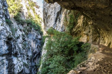 Bakımları trail garganta del Bakımı, Picos de Europa dağlar, İspanya