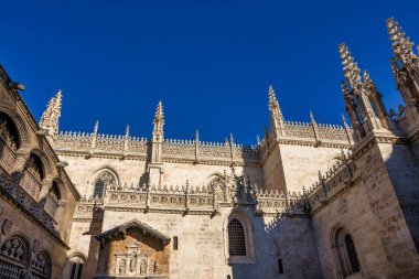Granada şehrindeki Enkarnasyon Katedrali. Endülüs, İspanya.