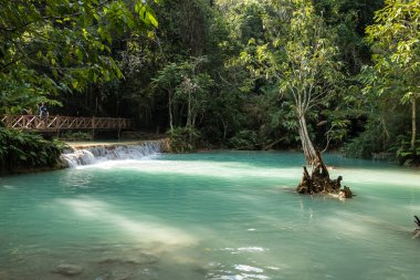 Luang Prabang yakınlarındaki Tat Kuang Si şelaleler, Laos
