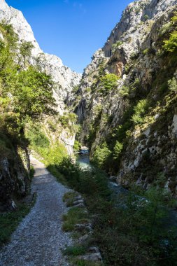 Bakımları trail garganta del Bakımı, Picos de Europa dağlar, İspanya