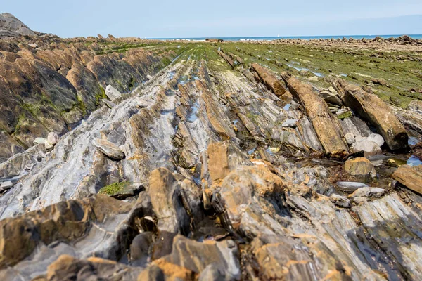 Costa Flysch di Sakoneta, Zumaia - Paesi Baschi, Spagna — Foto Stock