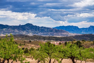 İspanya'da Murcia yakınlarındaki Barinas manzara görünümü