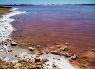 Torrevieja, İspanya'daki Laguna Salada. Pembe Tuzlu göl. Salinas Tabiat Parkı.