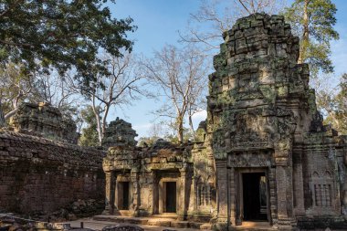 Antik Tapınağı, Ta Prohm, Angkor, Kamboçya