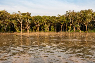 Kayan Köyü, Kamboçya, Tonle Sap, Koh Rong Adası.