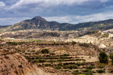 İspanya'da Murcia yakınlarındaki Abanilla ve Mahoya Çolak