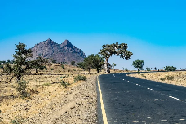 Manzaralı Kuzey Etiyopya Simien Dağları Milli Parkı
