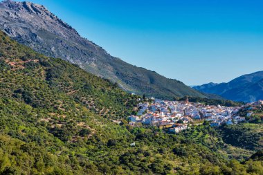 Cortes de la Frontera, Malaga Eyaleti, Endülüs, İspanya, Wester