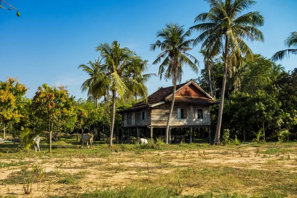美丽的乡村之旅在热带农村地区, 暹粒, 柬埔寨 — 图库照片