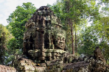 Ta Som Tapınağı Angkor Wat kompleksi, Kamboçya, Asya