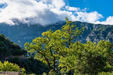 Verdon Gorge, Fransız Alpleri Gorges du Verdon, Provence, Fransa