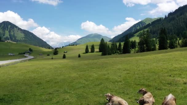 Pequeño Pueblo Rinnen Cerca Imst Tirol Austria Europa — Vídeo de stock