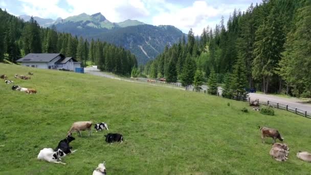 Pequena Aldeia Rinnen Perto Imst Tirol Áustria Europa — Vídeo de Stock