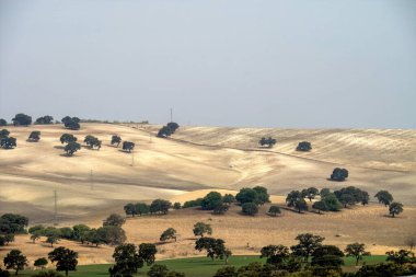 San Jose del Valle kasabası yakınlarındaki, Endülüs, Endülüs, Endülüs ve İspanya 'nın doğal parkı de la Sierra de Grazalema' da,