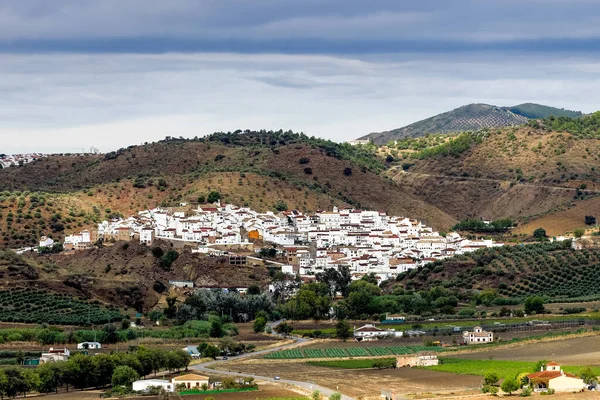 Vue Sur Village Olvera Des Beaux Villages Blancs Pueblos Blancos — Photo