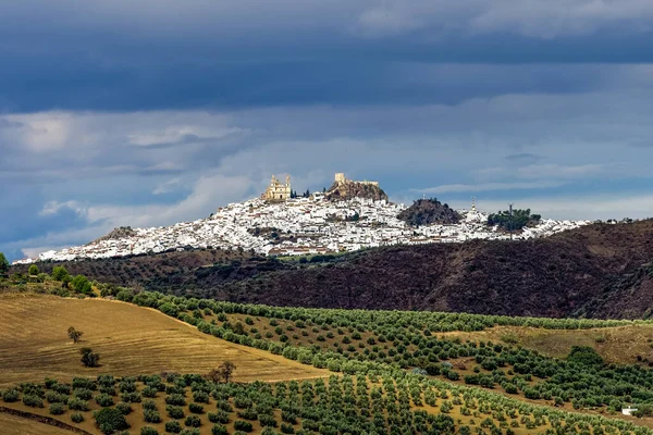 Veduta Del Villaggio Olvera Uno Dei Bellissimi Villaggi Bianchi Pueblos — Foto Stock