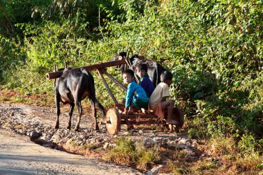 Pindaya, Myanmar - 08 Kasım 2019: Heho 'dan Pindaya, Asya' ya giden yolda çalışan Myanmar çalışanları