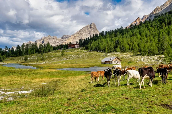 Jesienny Krajobraz Dolomity Południowy Tyrol Włochy Europa — Zdjęcie stockowe