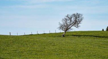 Almanya 'nın Bavyera kentindeki Ostallgaeu' de Nesselwang yakınlarındaki manzara. Allgaeu 'de Alplerin eteklerinde sık sık fotoğraflanan bir pazar kenti ve turizm beldesidir..