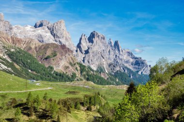 Solgun di San Martino sıradağları manzarası. Passo Rolle, Trentino Alto Adige. İtalyan Dolomitler, İtalya