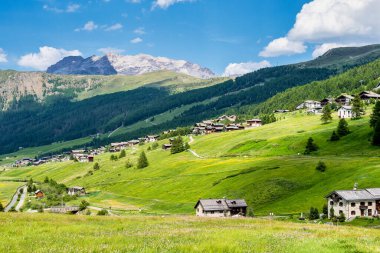 Lombardiya 'nın Sondrio ilçesine bağlı bir İtalyan kasabası olan Livigno' nun yaz manzarası ve İtalya 'nın Alplerdeki ünlü kış ve yaz turistik beldesi..