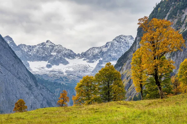Ahornboden Daki Akçaağaç Ağaçlarının Sonbahar Manzarası Karwendel Dağları Tyrol Avusturya — Stok fotoğraf
