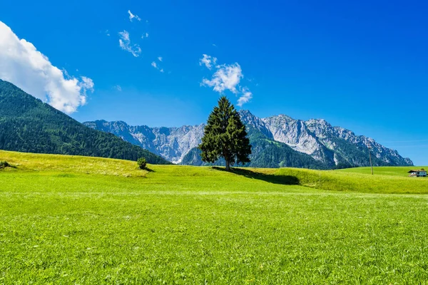 Pászepkepek.hu társkereső - társkeresés Tirol (Ausztria megye)