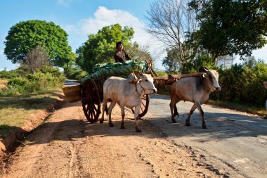 Pindaya, Myanmar - 08 Kasım 2019: Heho 'dan Pindaya, Asya' ya giden yolda çalışan Myanmar çalışanları
