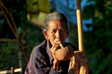 Bagan, Myanmar - 14 Kasım 2019: Birmanyalı kadın Bagan 'da puro içiyor, Myanmar Asya' da eski Burma
