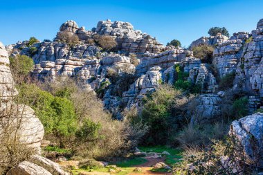 Kayaların eşsiz şekli, 150 milyon yıl önce Jurasik Çağı sırasında meydana gelen erozyondan kaynaklanmaktadır. Tüm dağ, deniz suyu altındaydı. Torcal de Antequera