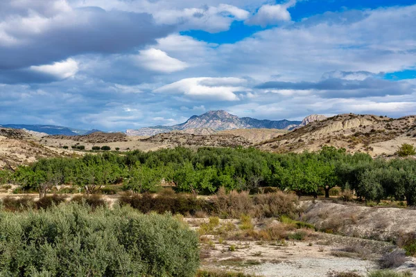 스페인의 무르시아 근처에 니야와 땅이다 침식적 — 스톡 사진
