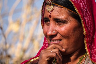 Jaisalmer, Hindistan - 30 Aralık 2019: Jaisalmer, Rajasthan pamuk tarlalarında çalışan güzel giyimli kadınlar