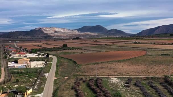 Vista Panoramica Canada Lena Regione Murcia Spagna Europa — Video Stock