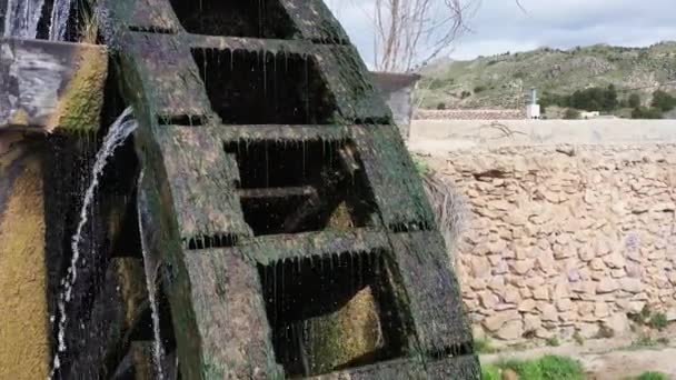 Antico Mulino Arabo Acqua Noria Nel Villaggio Abaran Nella Regione — Video Stock