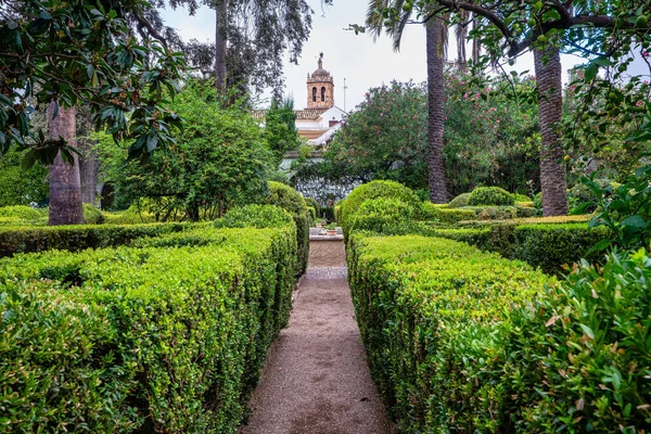 コルドバ アンダルシア スペインのヴィアナ宮殿の中庭庭園 15世紀に建てられました ヴィアナ宮殿は12の壮大なパティオと庭園で知られる観光名所です — ストック写真