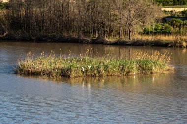 Murcia Bölgesi Blanco 'da bulunan Azud de Ojos rezervuarı. İspanya. Segura Nehri. Ricote Vadisi. Alto de Bayna izleme platformundan görüldü