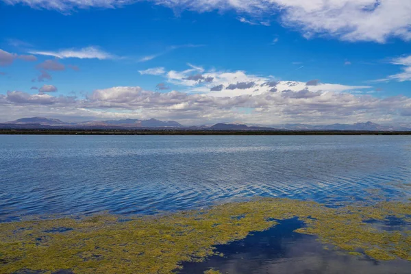 Saline Santa Pola Und Vogelreservat Elche Alicante Spanien Europa — Stockfoto