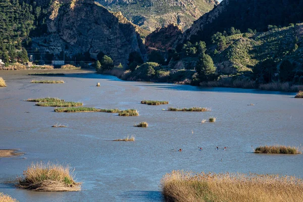 Embalse Ojos También Llamado Azud Ojos Blanco Región Murcia España — Foto de Stock