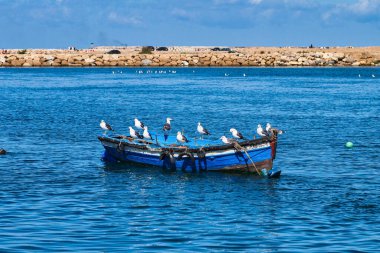 Rabat, Fas - 13 Ekim 2019: Atlantik Okyanusu ağzındaki Bou Regreg nehrindeki Rabat, Fas limanının manzarası.