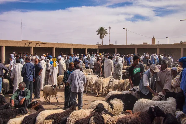 Rissani Marokko Oktober 2019 Schafmarkt Souk Der Stadt Rissani Marokko — Stockfoto