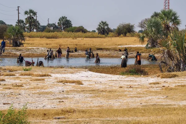 Opuwo, Namibya - Haziran 06, 2019: Namibya 'nın kuzeybatısındaki Kunene Bölgesi' nde Opuwo 'da görülen tarlalarda çalışan Namibya halkı