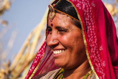 Jaisalmer, Hindistan - 30 Aralık 2019: Jaisalmer, Rajasthan pamuk tarlalarında çalışan güzel giyimli kadınlar