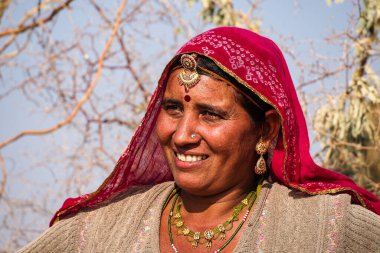 Jaisalmer, Hindistan - 30 Aralık 2019: Jaisalmer, Rajasthan pamuk tarlalarında çalışan güzel giyimli kadınlar