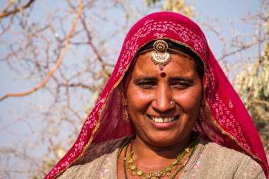 Jaisalmer, Hindistan - 30 Aralık 2019: Jaisalmer, Rajasthan pamuk tarlalarında çalışan güzel giyimli kadınlar